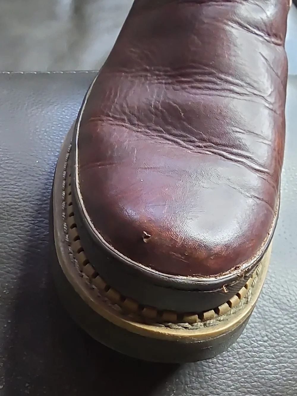 Georgia Giant classic men